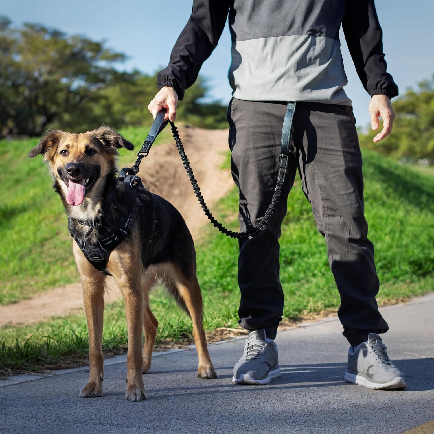 Dog Harness: Waist Leash for Dog Walking
